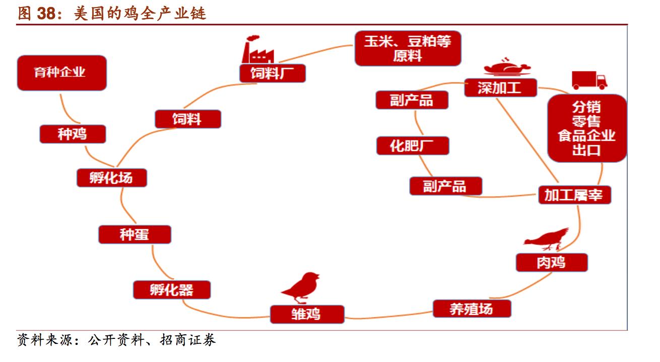 新希望饲料发展,新希望集团案例分析
