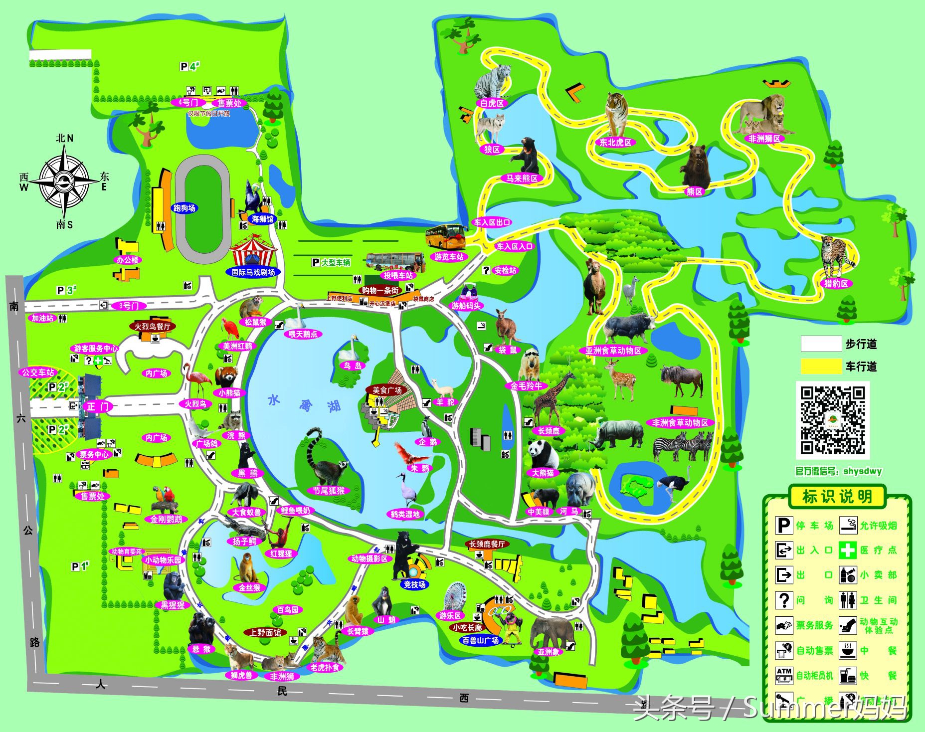 上海野生动物园游玩攻略最新,上海野生动物园游览图