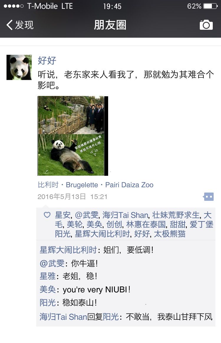 熊猫也爱晒朋友圈，最后一只叫太极的熊猫亮了