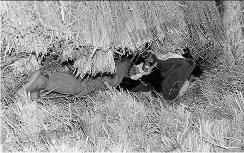 韩国华城连环杀人案详细讲解,韩国三大谜案之华城连环杀人案