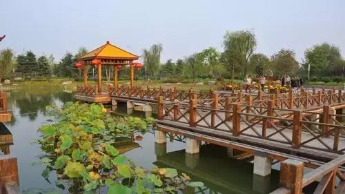 国家花木博览园旅游攻略,花木博览园一日游