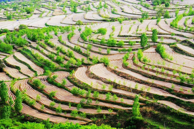 梯田上帝指纹观景台,上帝的指纹密码是什么
