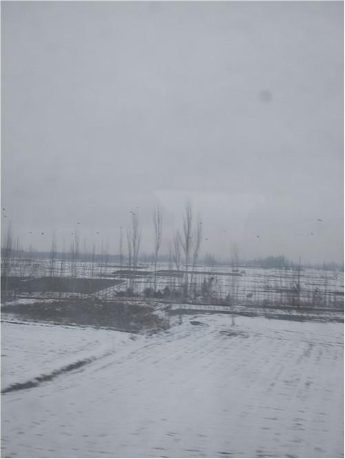 和田玉羊毛鞋垫,和田玉游记视频