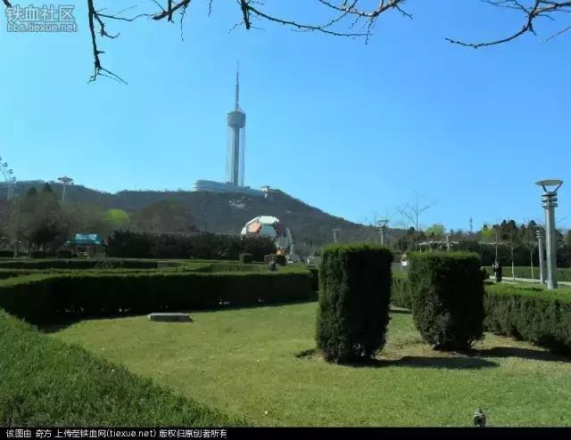 大连劳动公园的大足球有什么奥秘,劳动公园大足球在哪个门