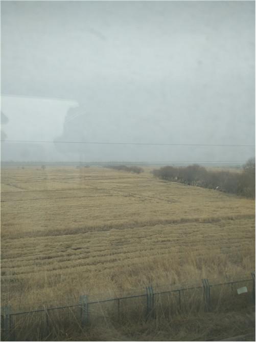 和田玉羊毛鞋垫,和田玉游记视频