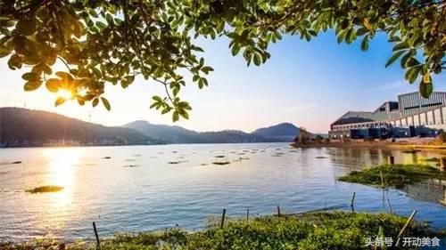 与其海岛晒成狗，不如坐拥江南最美私家湖景