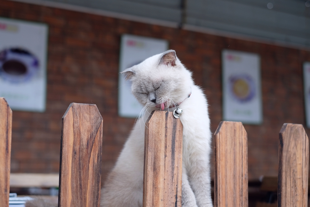 酷比魔方iwork11和iwork10,酷比魔方iwork11评测