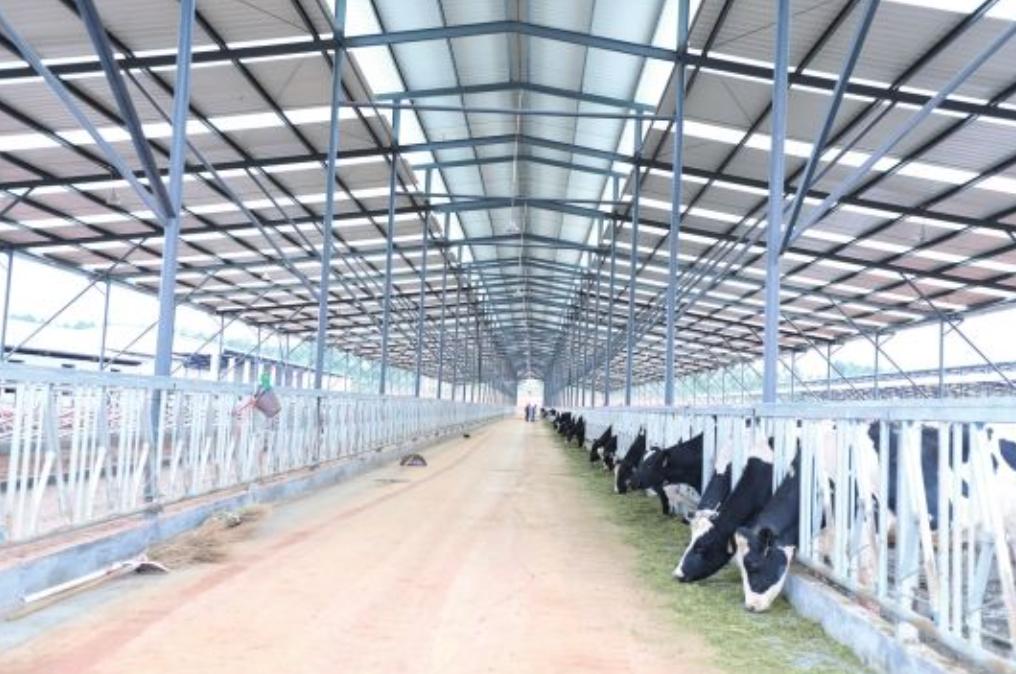 新希望饲料发展,新希望集团案例分析