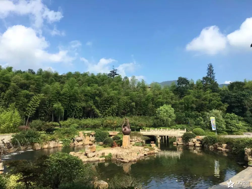 宜兴江南竹海,大美宜兴竹海