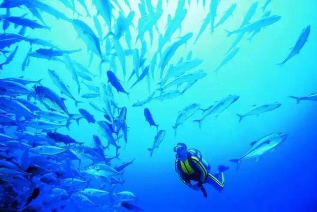 南海最富有的岛,南海区最富的地区