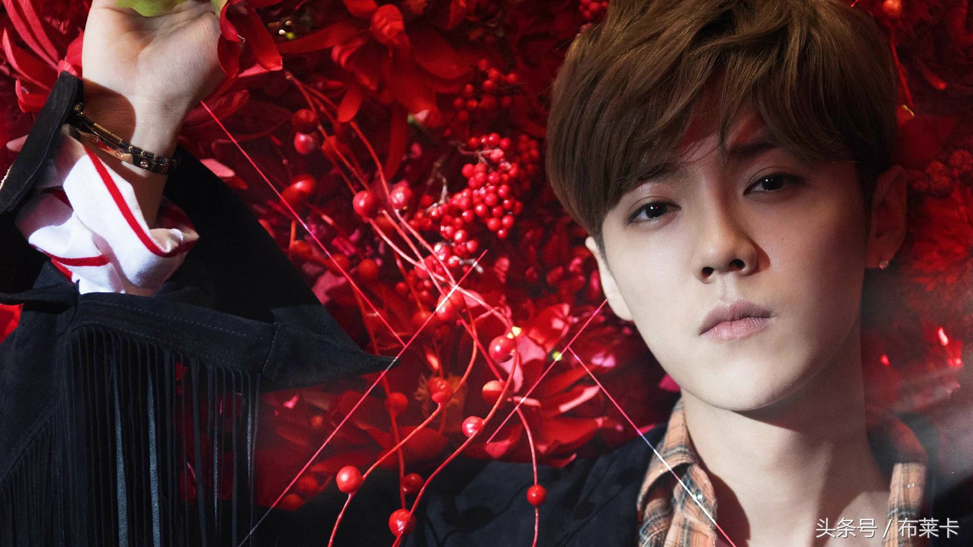 鹿晗愿望季图片壁纸,鹿晗最帅的照片壁纸