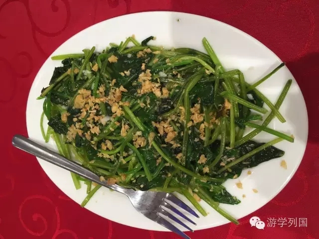 菲律宾游学物品攻略,菲律宾游学学英语