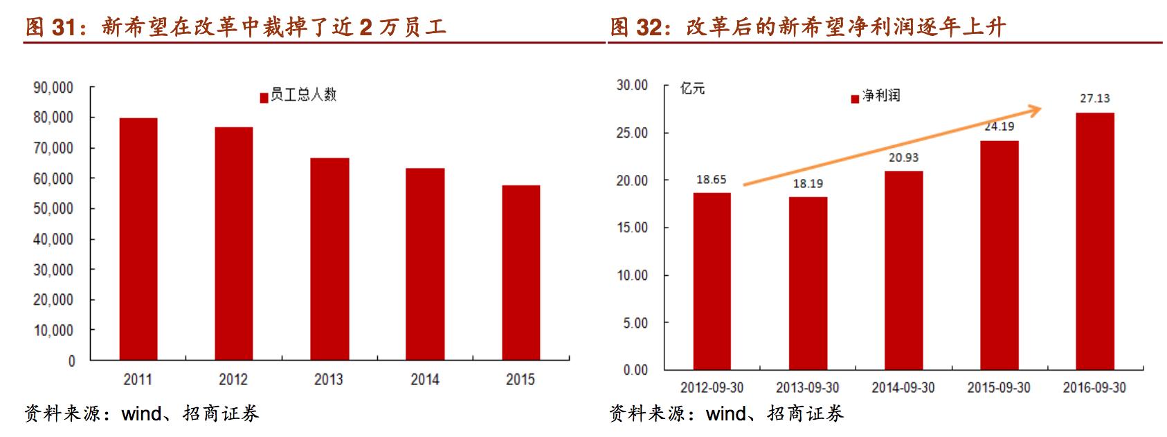 新希望饲料发展,新希望集团案例分析