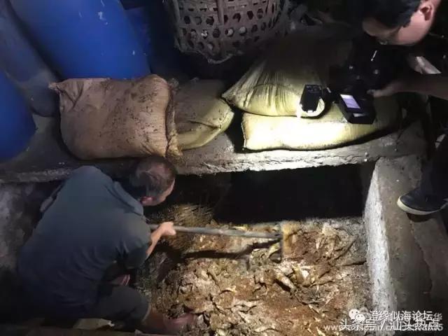 澄海外埔珍藏上百年的浪险技艺，今天终于被曝光了！