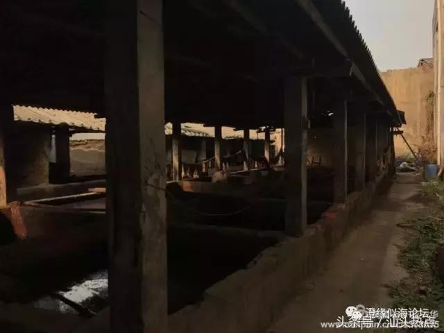 澄海外埔珍藏上百年的浪险技艺，今天终于被曝光了！