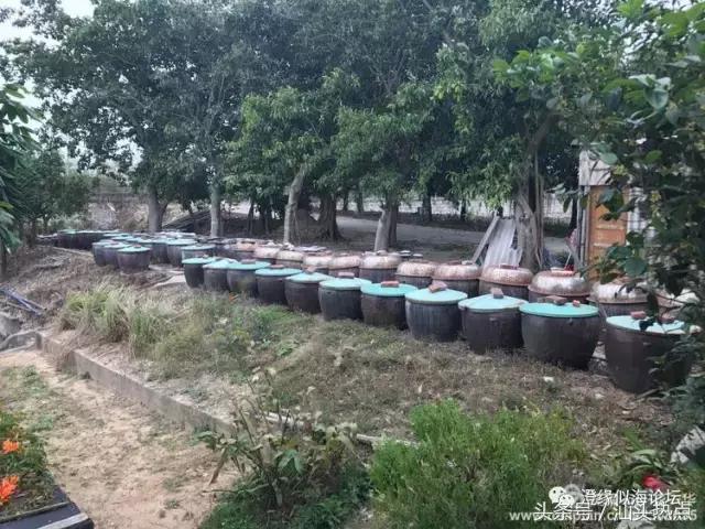 澄海外埔珍藏上百年的浪险技艺，今天终于被曝光了！