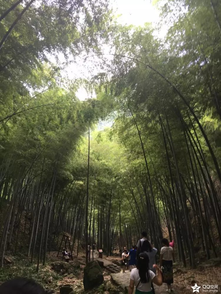 宜兴江南竹海,大美宜兴竹海