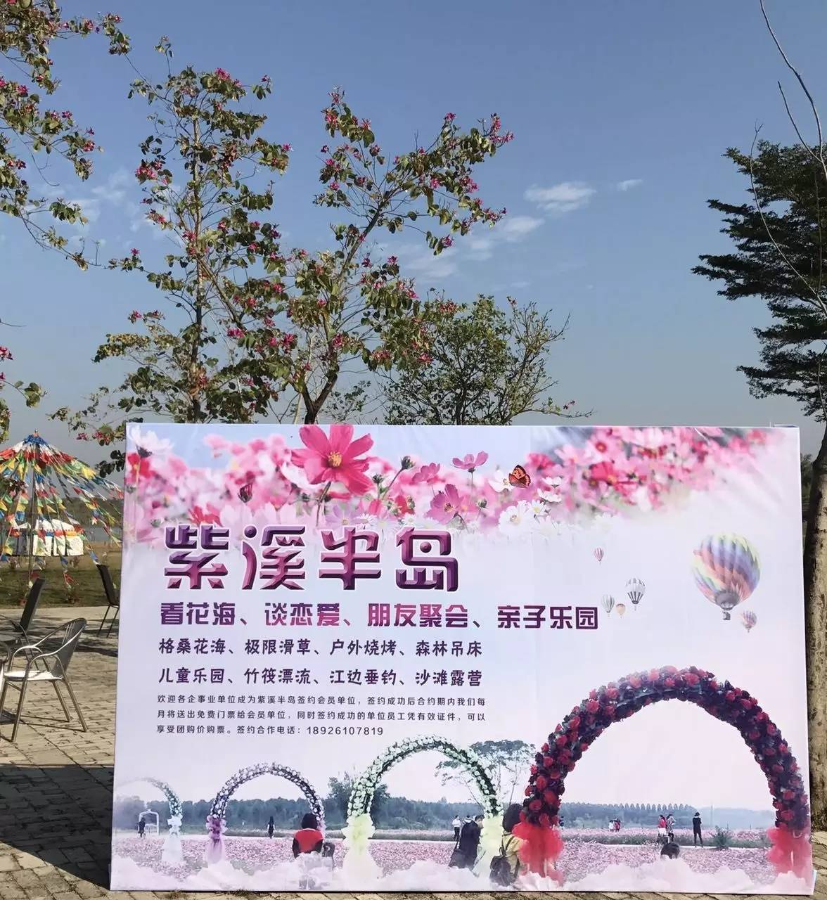 2020年惠州紫溪半岛花海世界,惠州紫溪半岛花海世界几月去最好