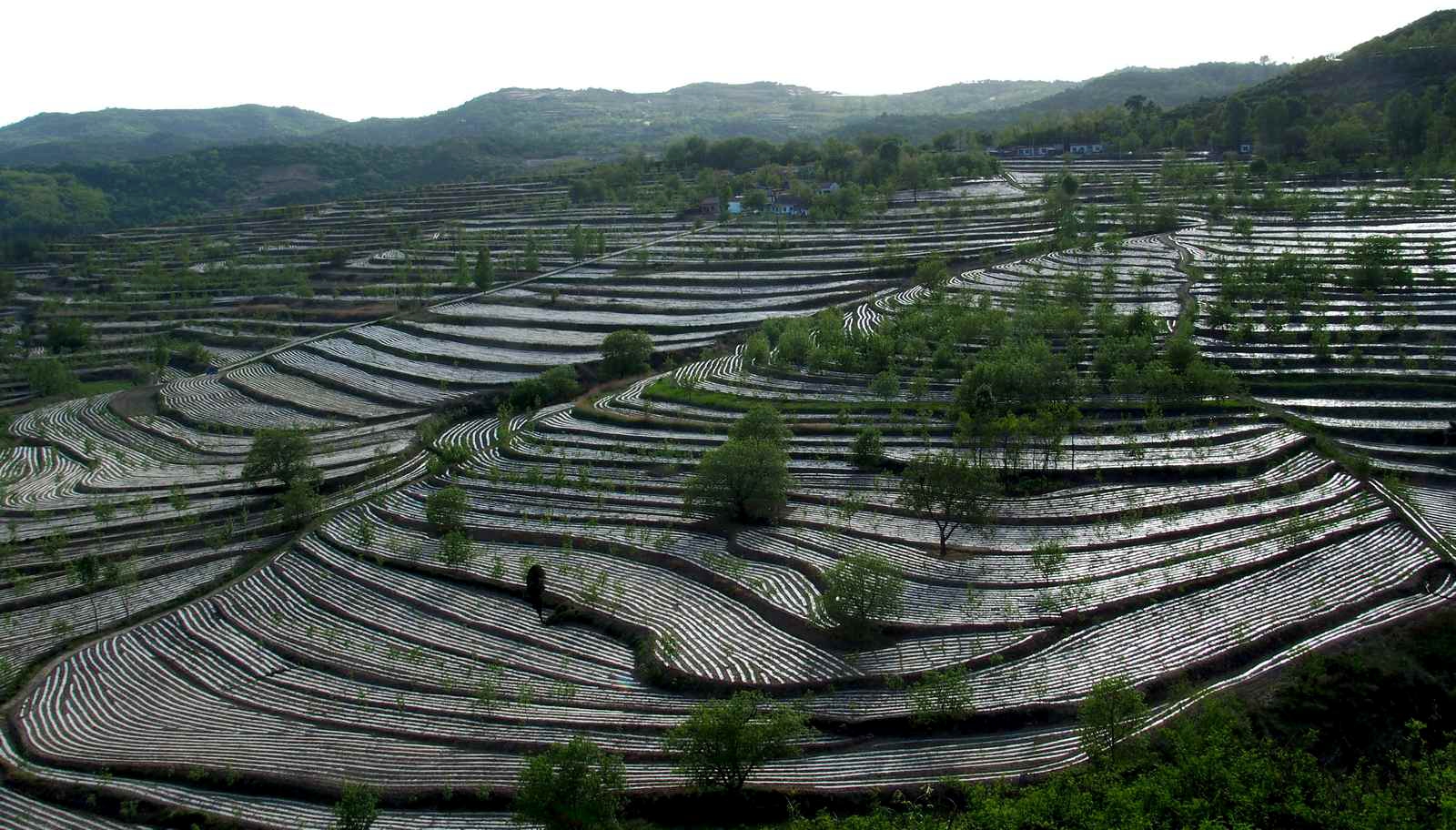 梯田上帝指纹观景台,上帝的指纹密码是什么