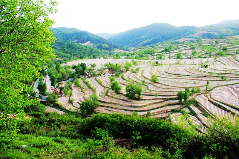 梯田上帝指纹观景台,上帝的指纹密码是什么