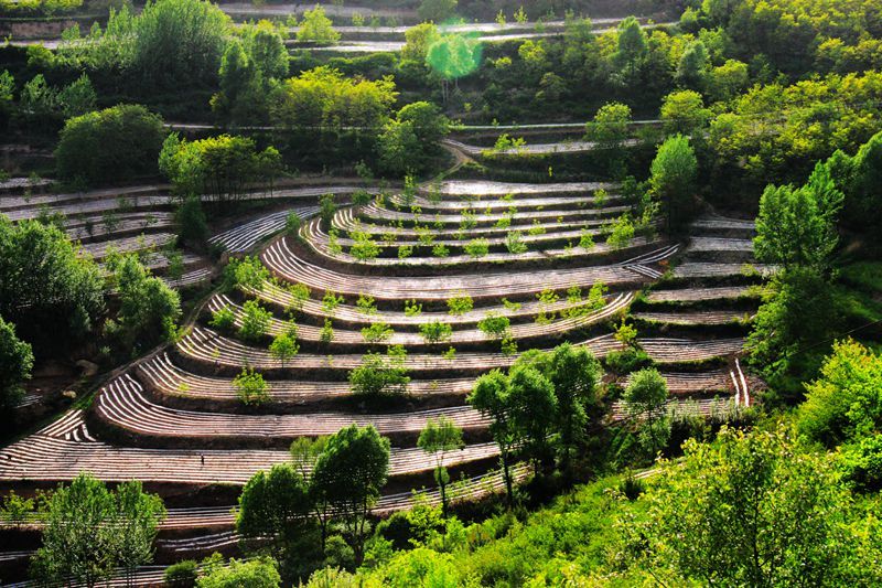 梯田上帝指纹观景台,上帝的指纹密码是什么