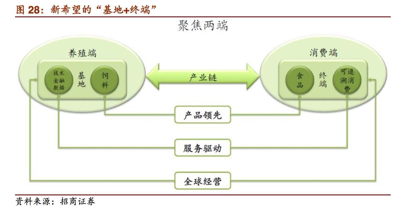 新希望饲料发展,新希望集团案例分析