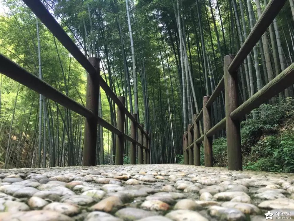 宜兴江南竹海,大美宜兴竹海