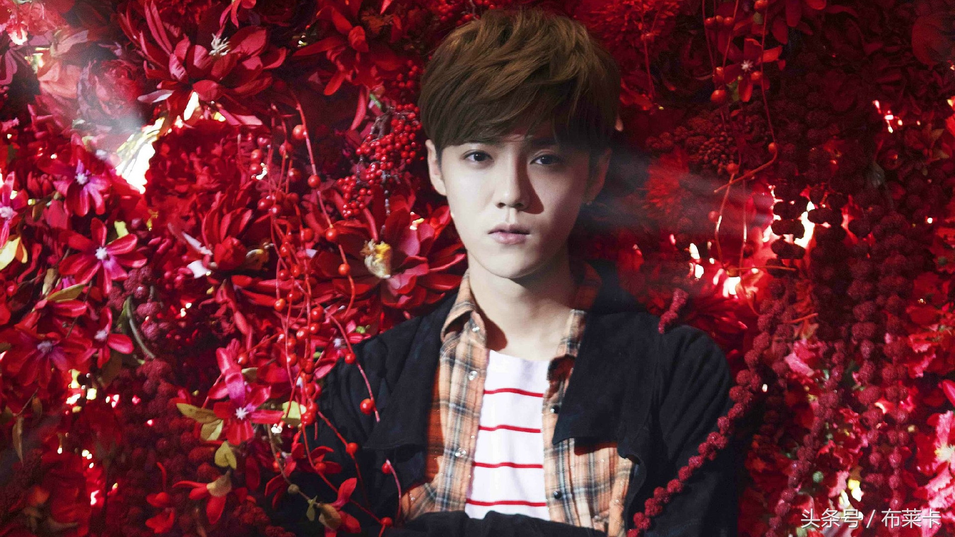 鹿晗愿望季图片壁纸,鹿晗最帅的照片壁纸