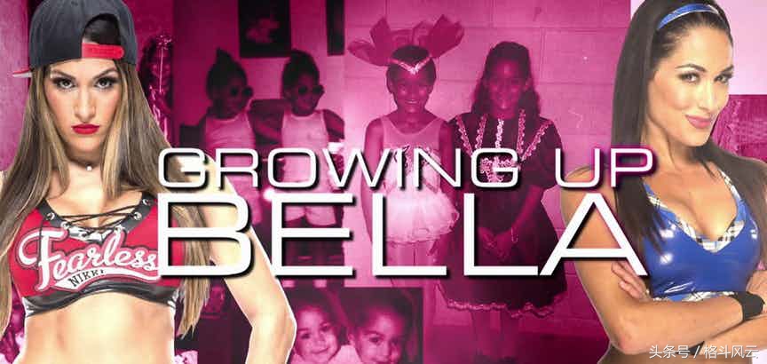 wwe贝拉姐妹个人信息,你所不知道的韩国女主播系列
