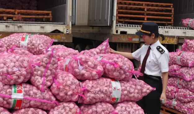 中国国际大蒜网邳州大蒜今日行情,世界大蒜看金乡