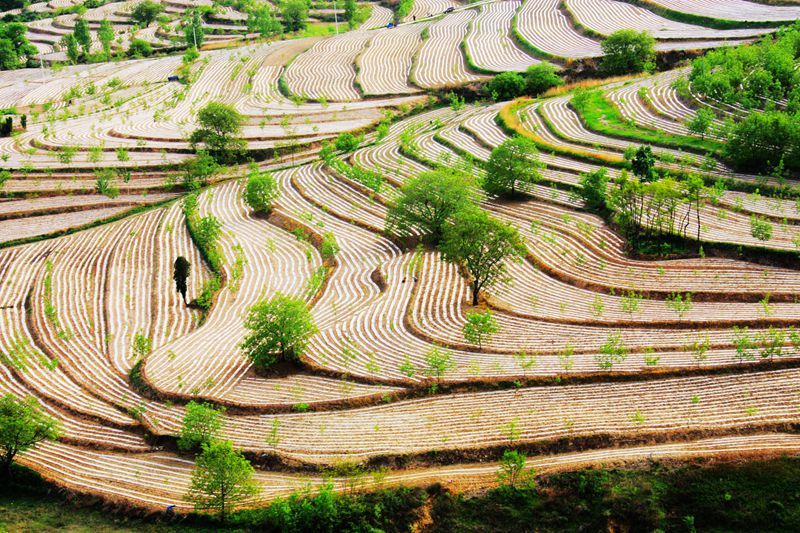 梯田上帝指纹观景台,上帝的指纹密码是什么