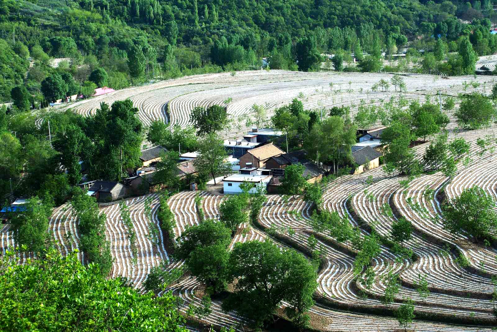 梯田上帝指纹观景台,上帝的指纹密码是什么