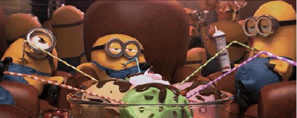 荷兰猪适宜的温度,荷兰猪夏天降温视频教学