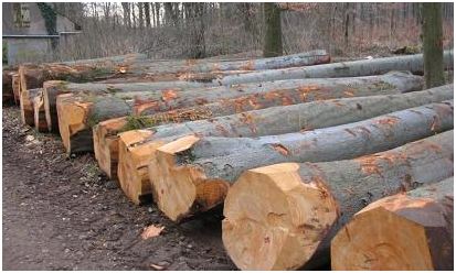 你买到的家具都是真的吗,买实木家具别被坑了