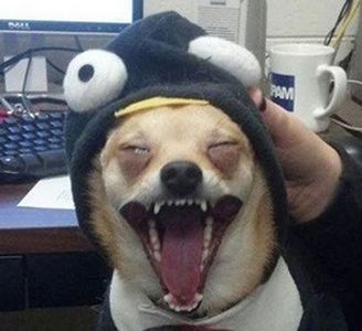 奇葩美妆黑科技,黑眼圈美妆视频教程