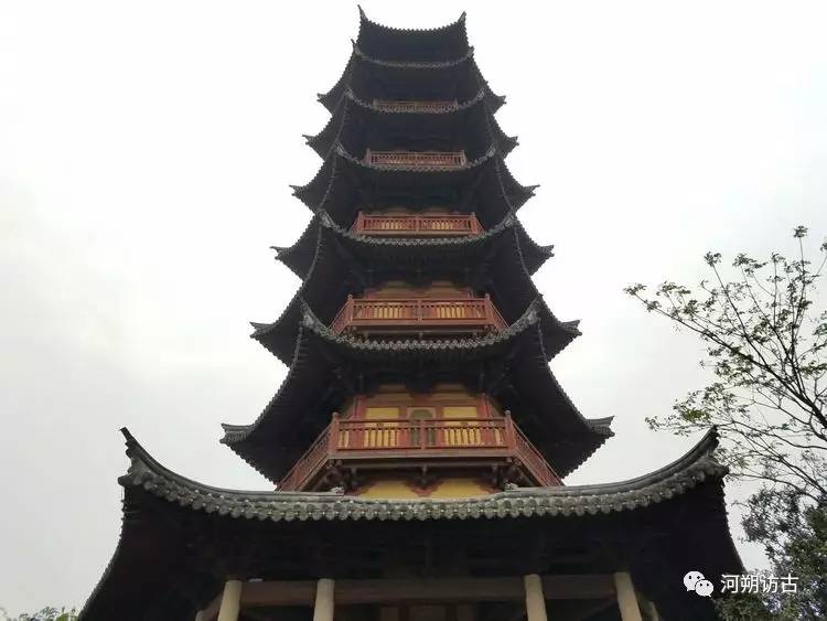 温州白象塔历史,温州白象塔出土