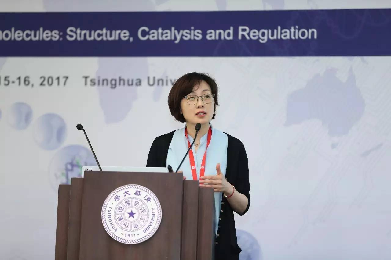 2017年结构生物学大会,国际科学大会