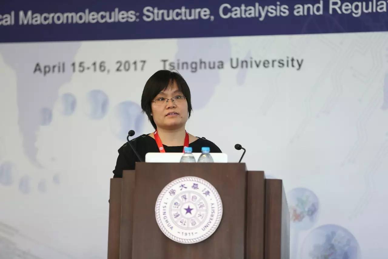 2017年结构生物学大会,国际科学大会