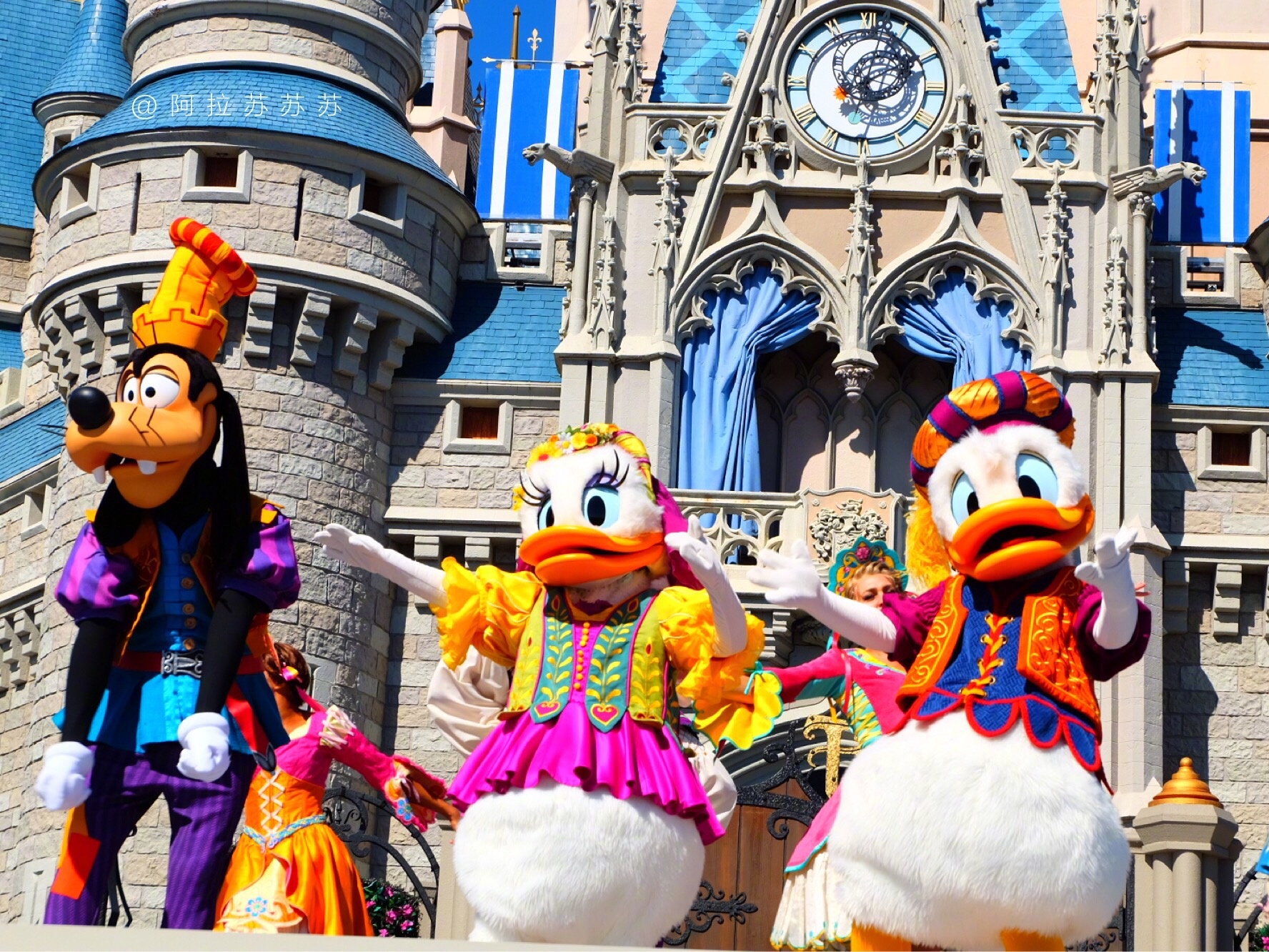 佛罗里达七日游攻略,佛罗里达5天旅游