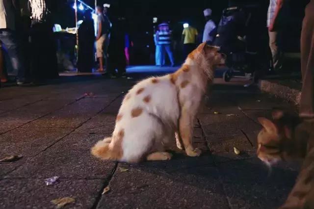 世界十大异域风情集市,最好玩的集市