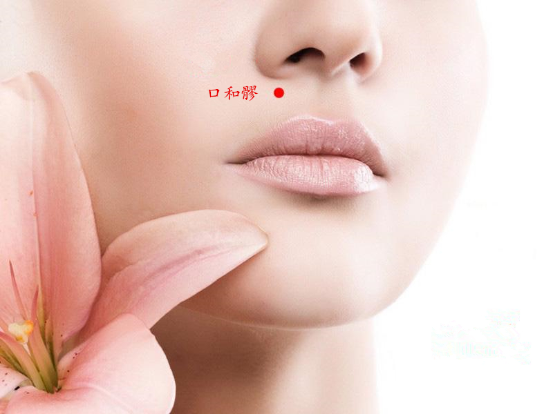 字里藏医完整版视频,字里藏医视频