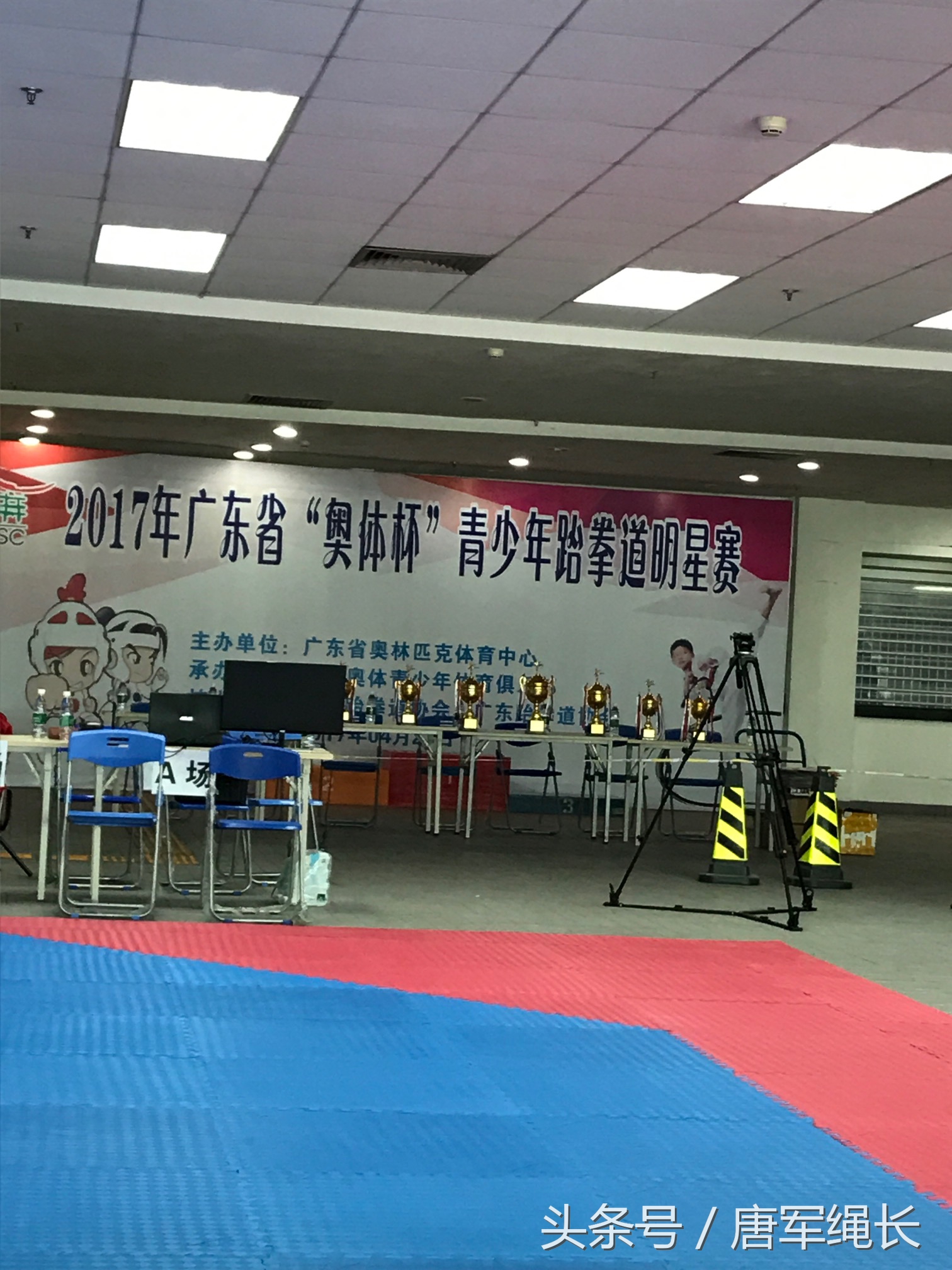 2021广东省跆拳道比赛彩拳杯,广东省奥体杯青少年跆拳道明星赛