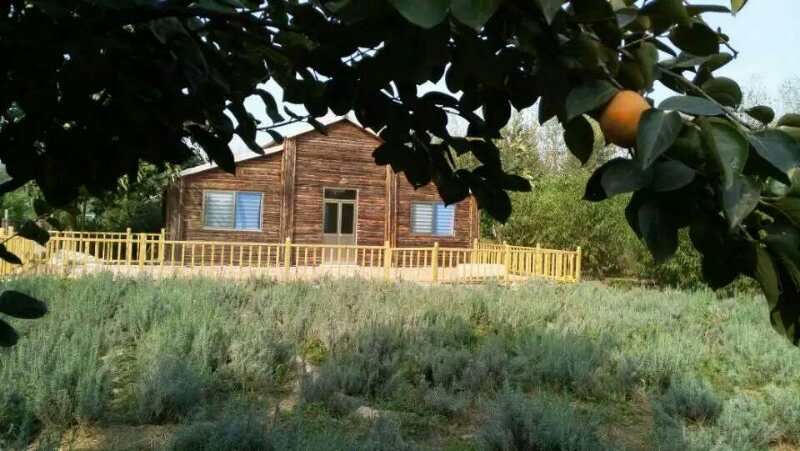 国际公益博览会,国际玫瑰博览会