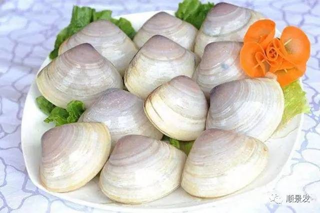 十种常见贝类海鲜图片,贝类海鲜全图