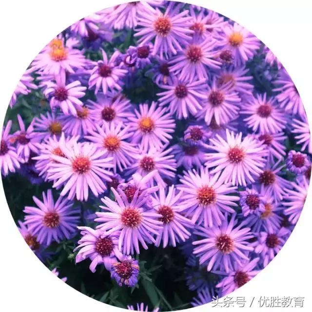 王俊凯身价有多少,王俊凯现如今身价多少亿