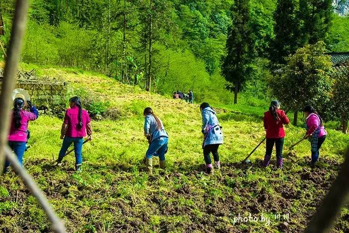 世界上最大的坑是什么,世界上最深的坑是什么坑