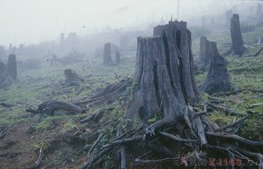 免费小说凡人修仙传最新章节,凡人修仙传小说最精彩的部分