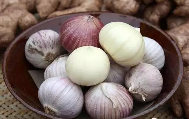 中国国际大蒜网邳州大蒜今日行情,世界大蒜看金乡