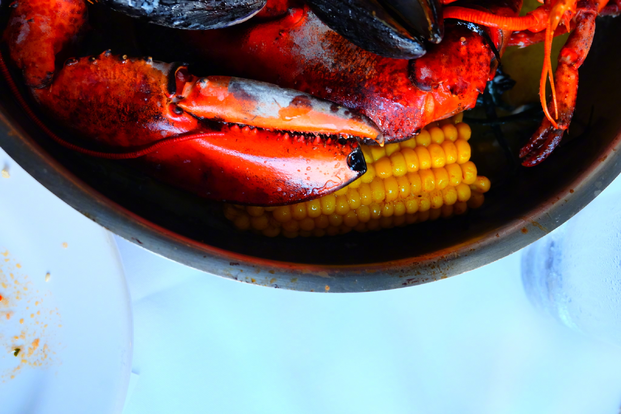 佛罗里达七日游攻略,佛罗里达5天旅游