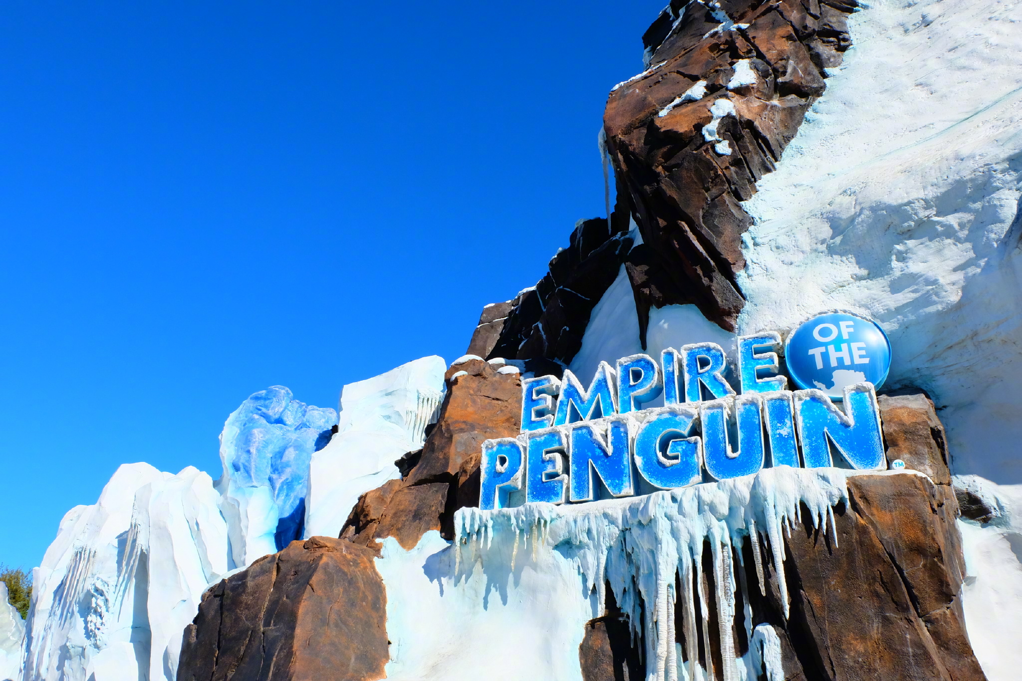 佛罗里达七日游攻略,佛罗里达5天旅游